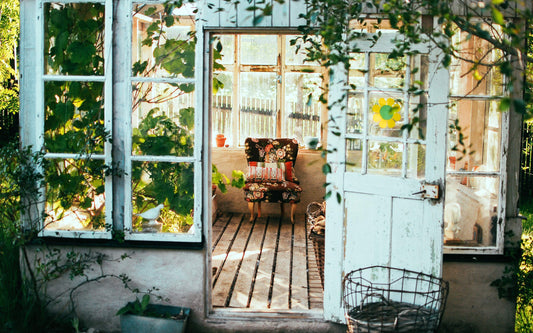 Unearth Antique Elegance: Best Vintage Plant Pots for Home & Garden