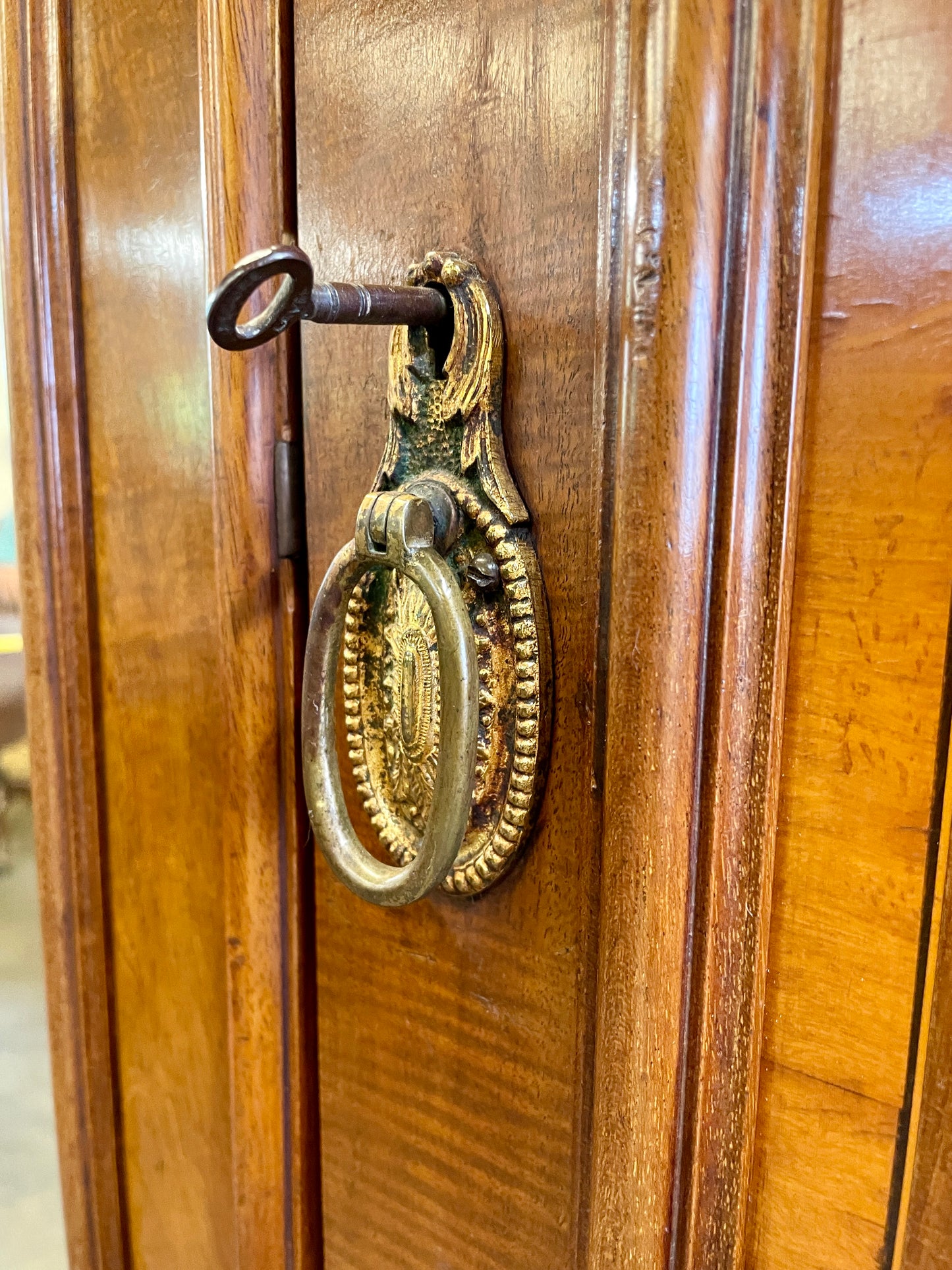 Decorative gold door knocker on a wooden door