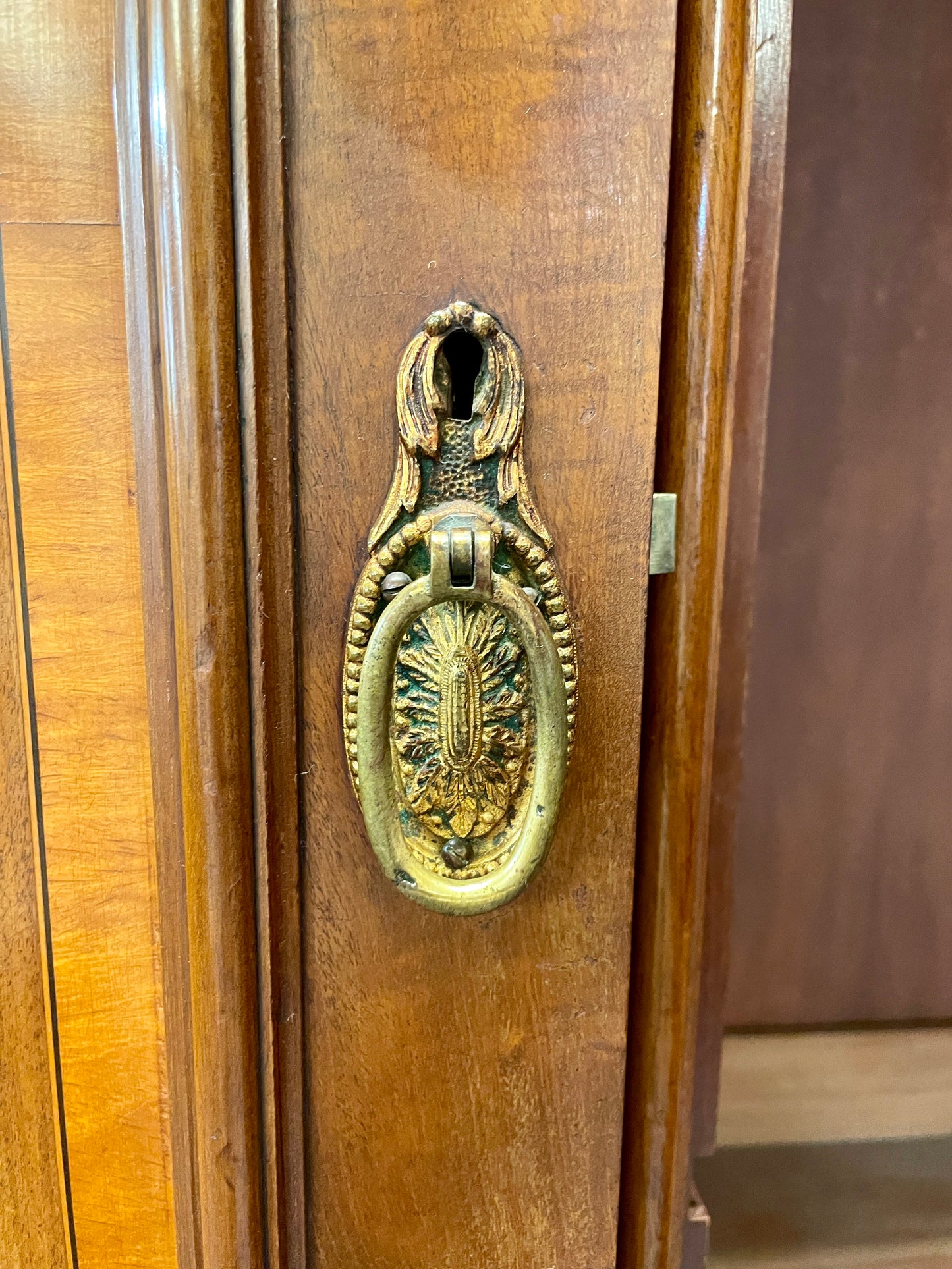 Decorative brass door knocker on a wooden door