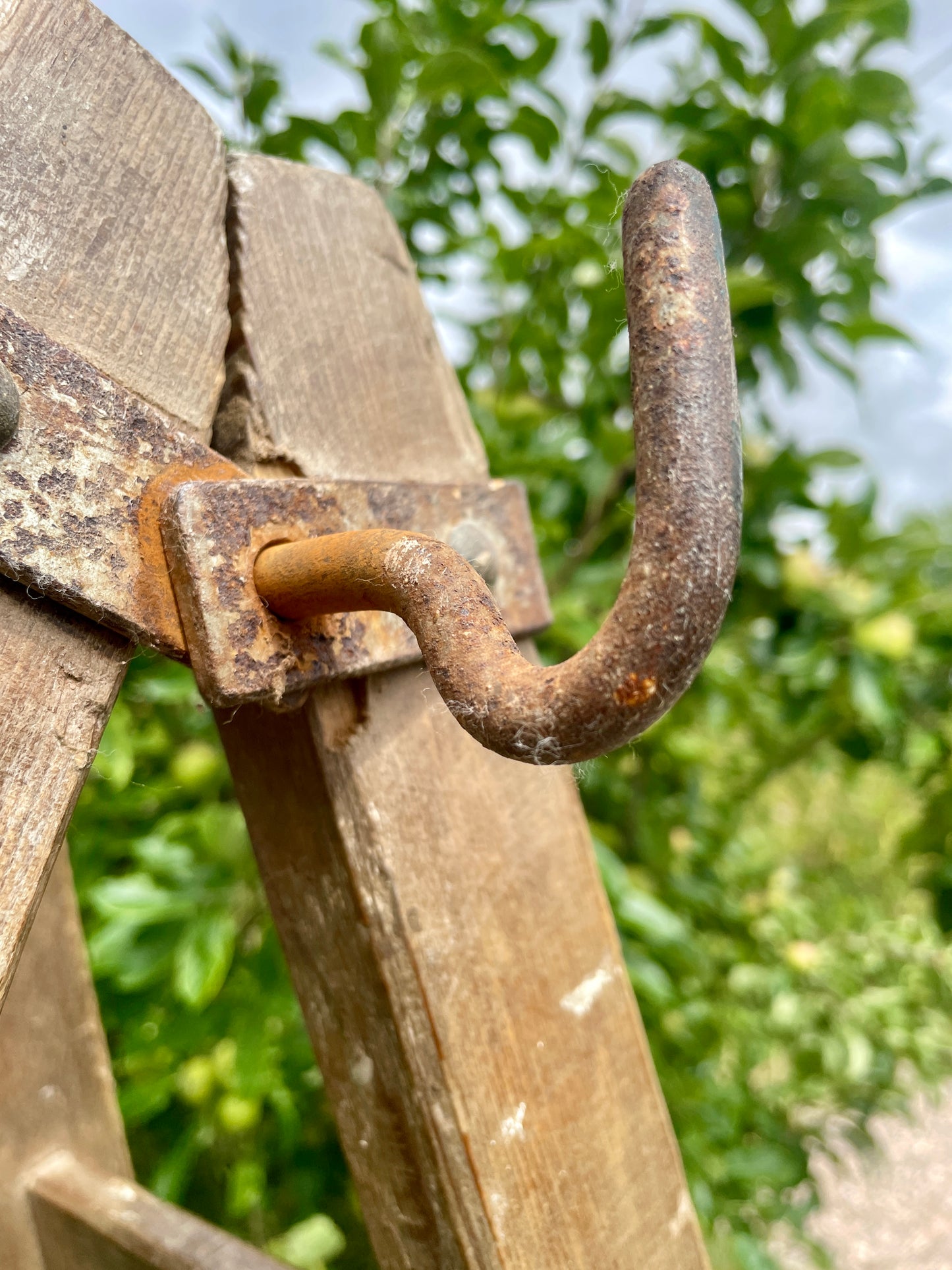 Rust-covered metal hook attached to wooden structure with green foliage in the background
