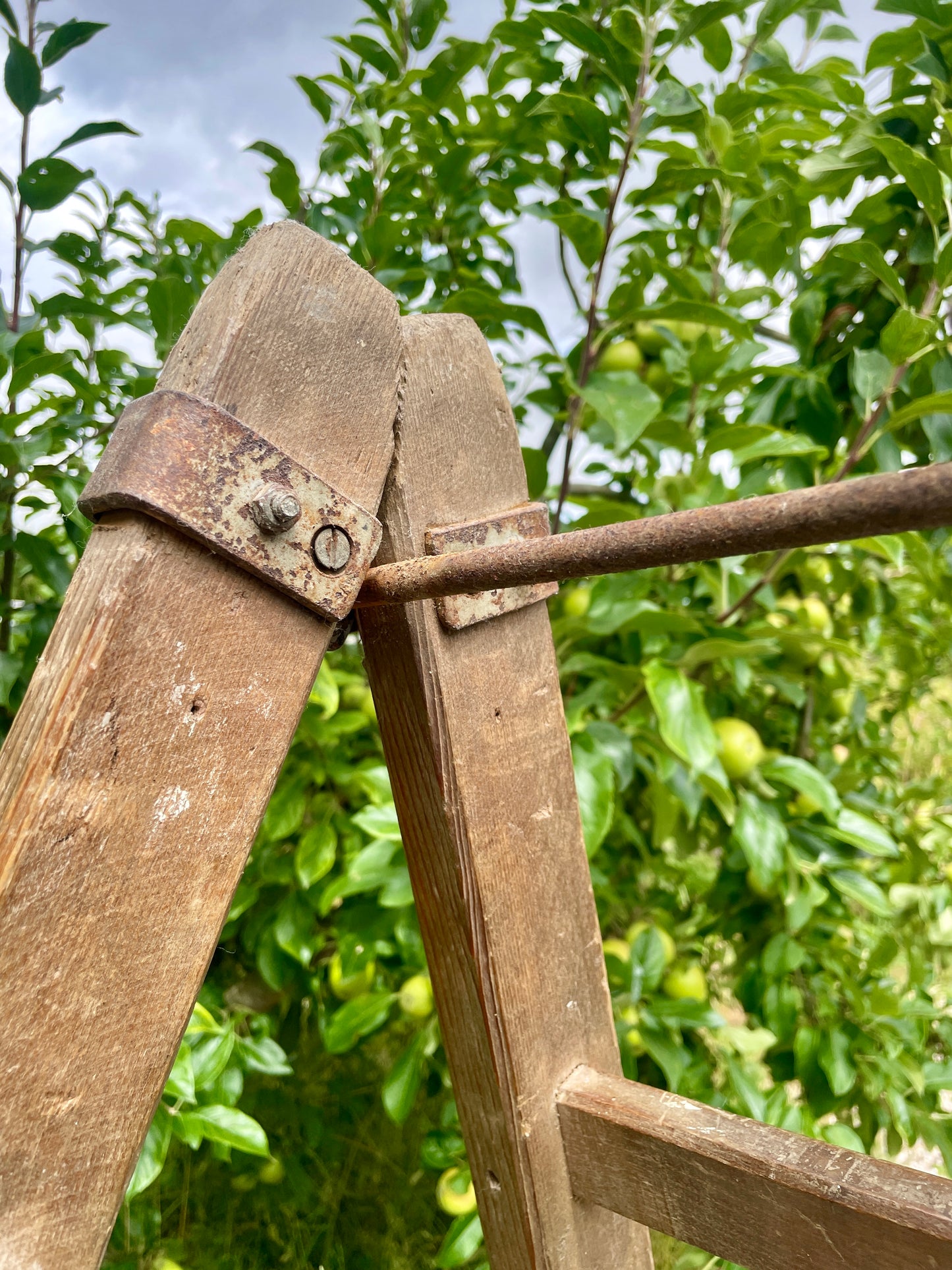 Wooden pruner with metal hook against a background of green foliage
