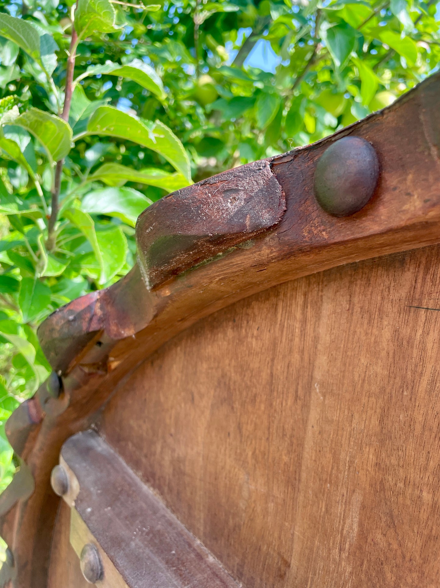 Close-up of a wooden barrel with metal bands against a green leafy background