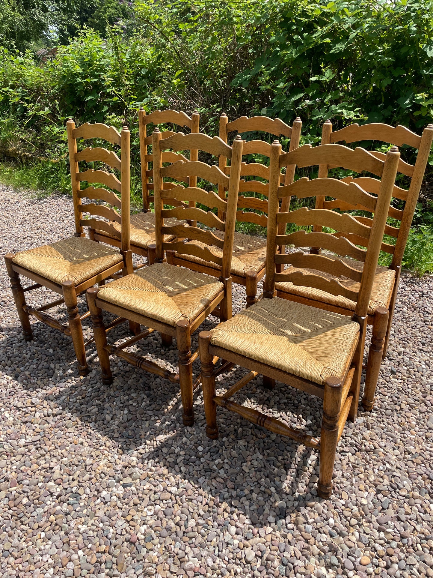 Vintage set of 6 light oak ladder back chairs