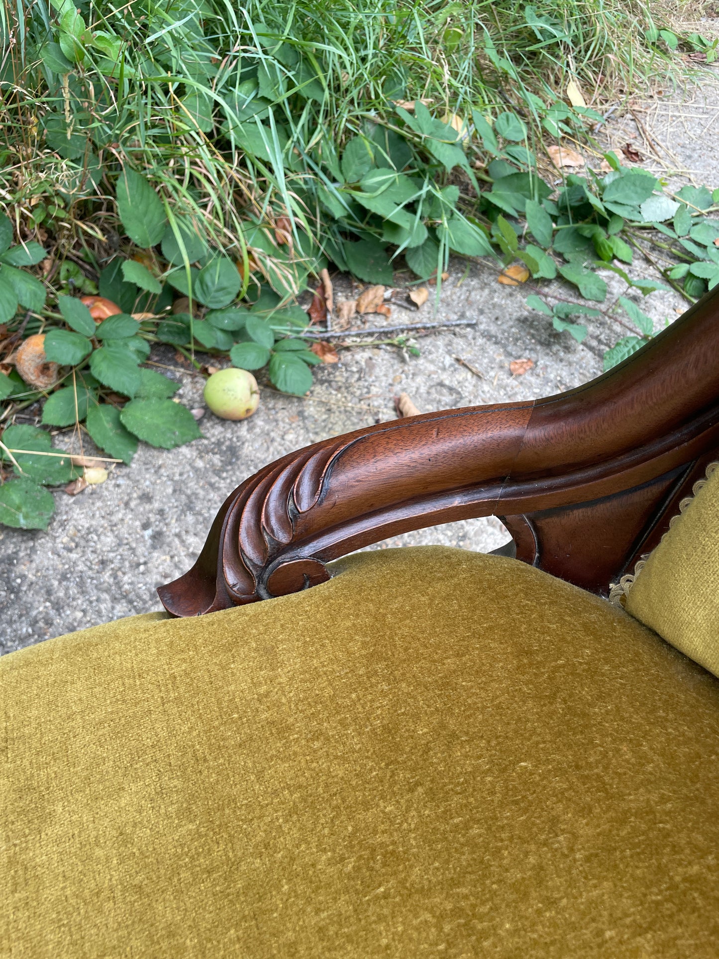 Victorian mahogany salon chair
