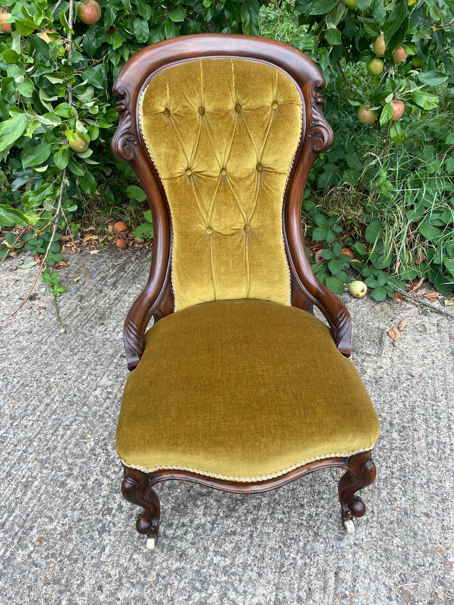 Victorian mahogany salon chair