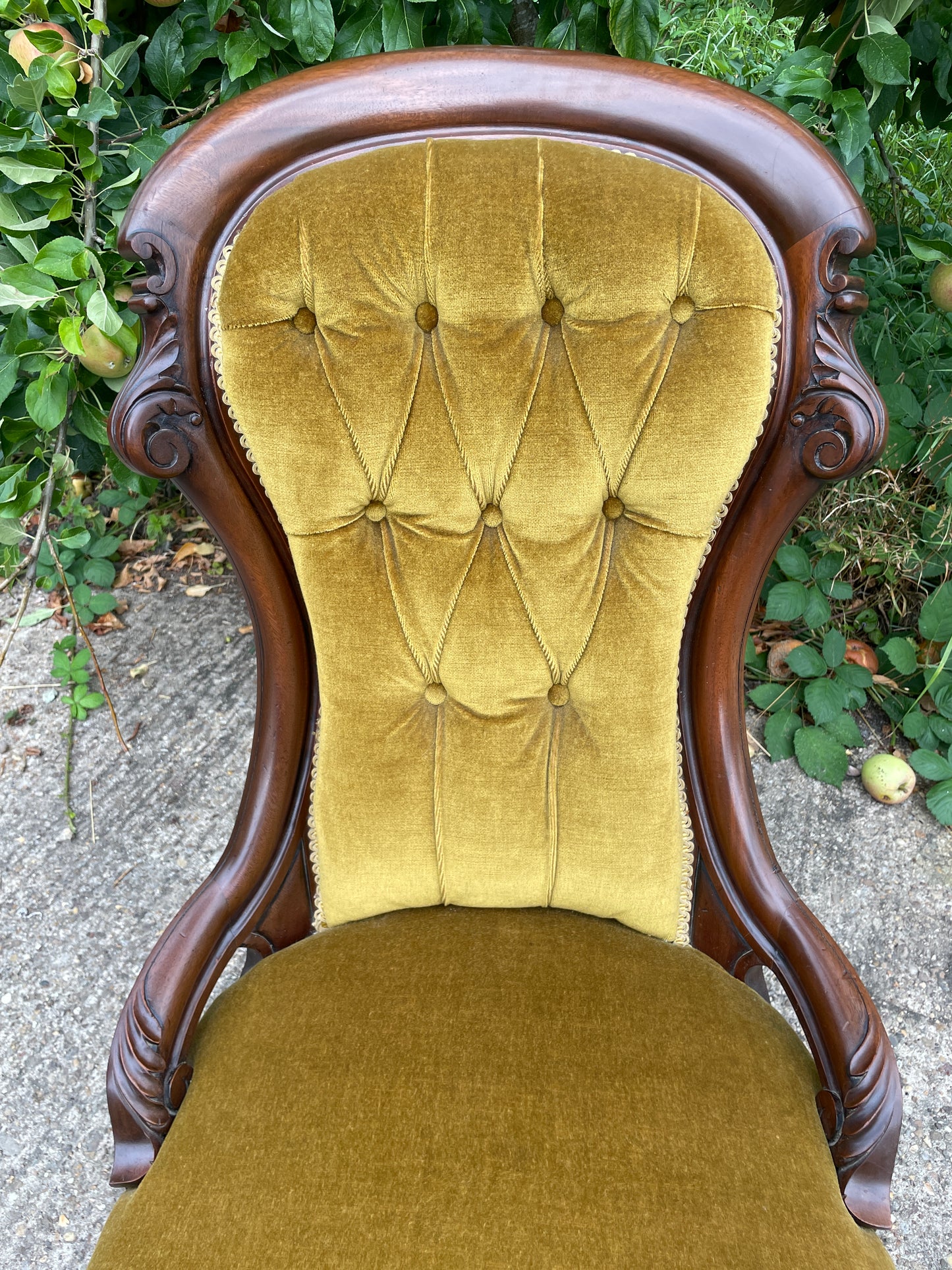 Victorian mahogany salon chair