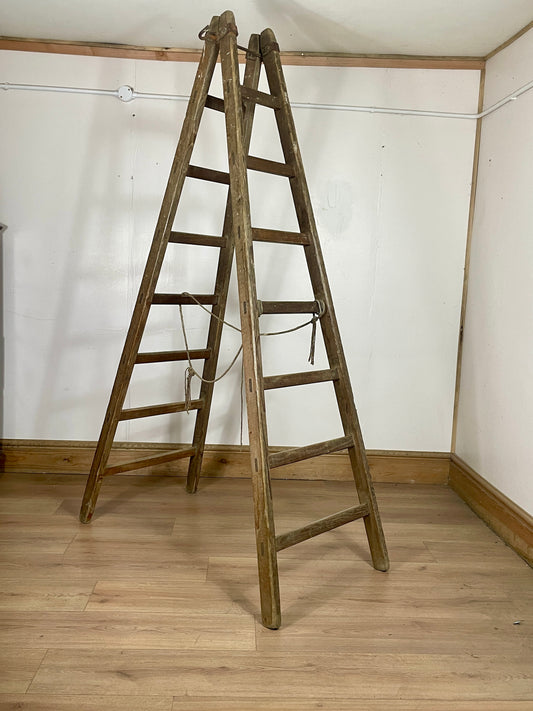 Wooden ladder against a white wall in a room with wooden flooring