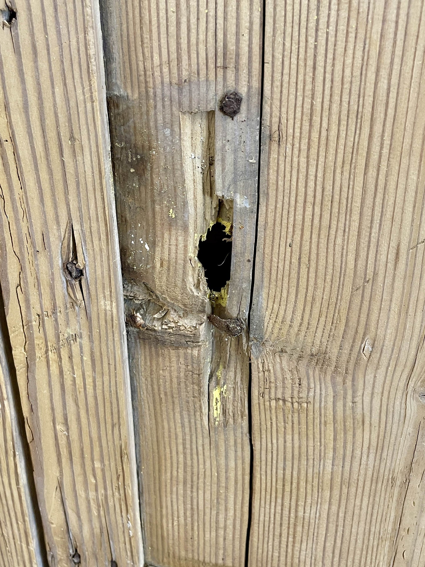 Antique pine farmhouse linen cupboard with shelves