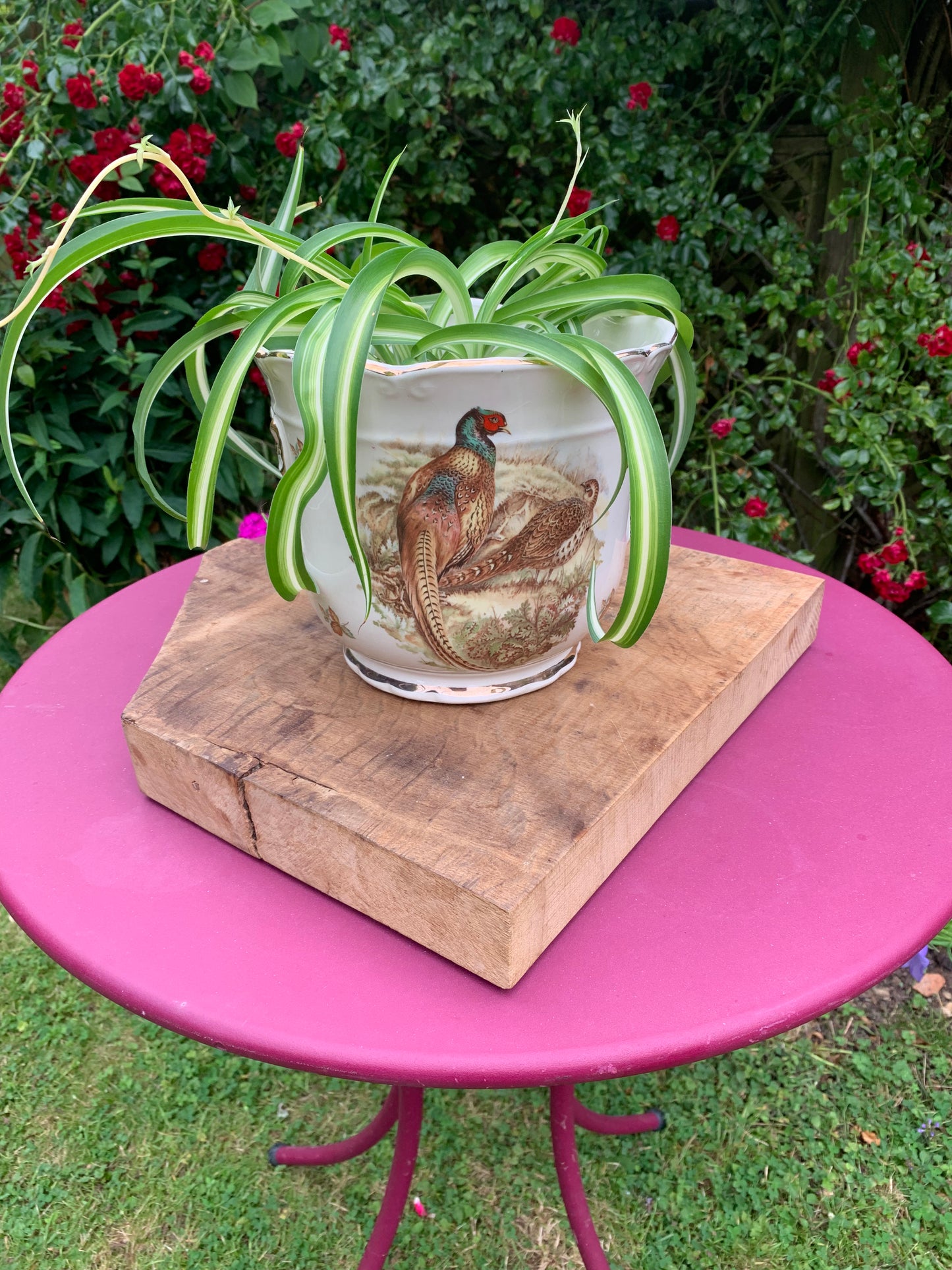 Ironstone Pheasant Planter - Rustic Charm for Botanical Delights