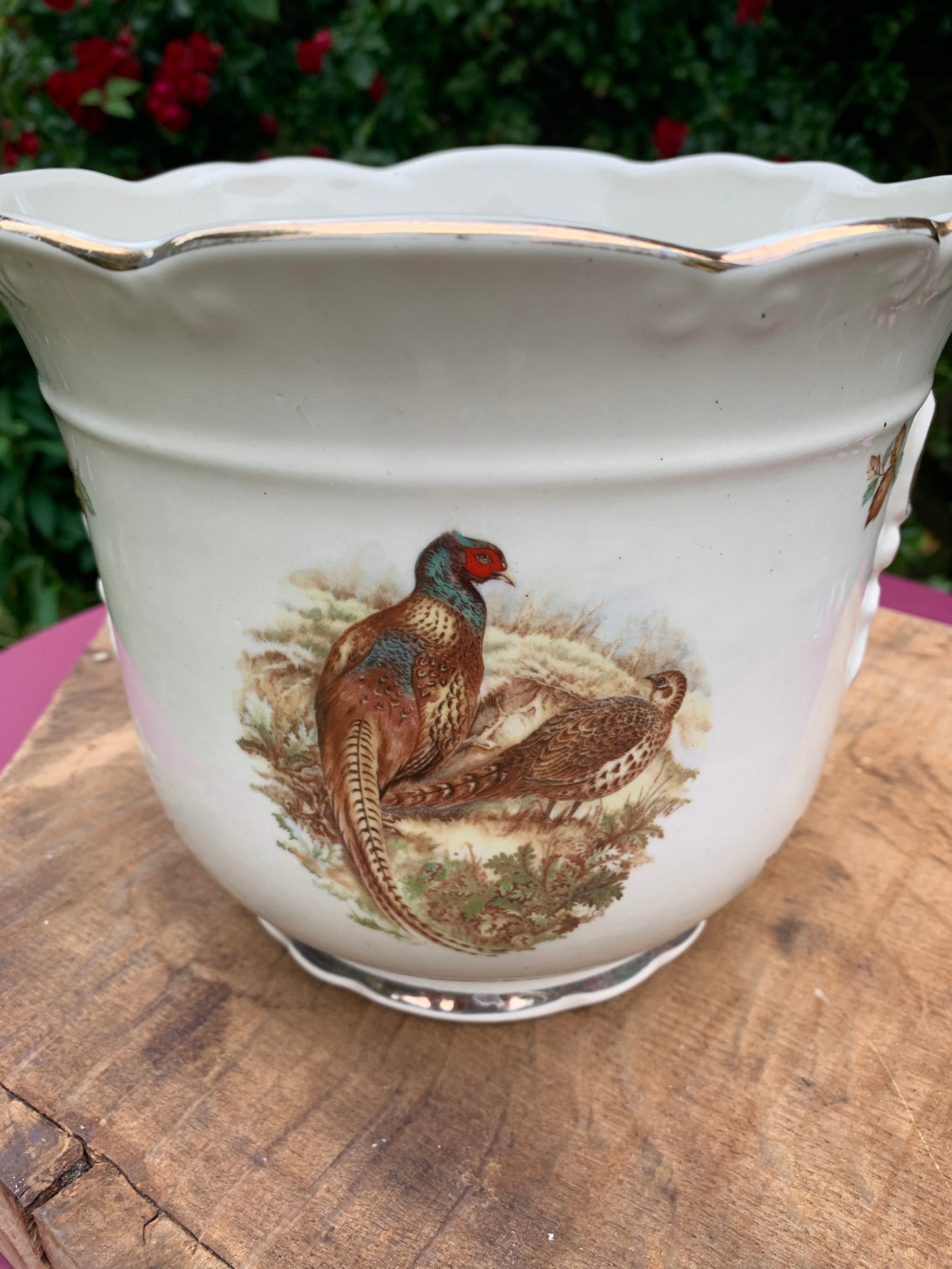 Ironstone Pheasant Planter - Rustic Charm for Botanical Delights